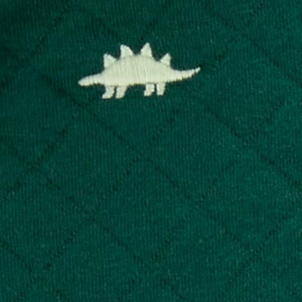 Set de 3 piezas Carters chaleco dinosaurio 3m textura dinosaurio